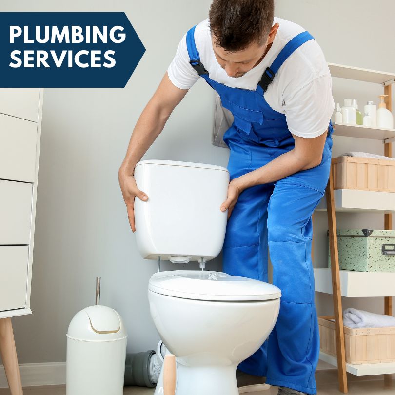 Plumbing Company in Goreville, IL